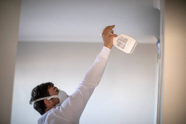 Best Fast Mold Removal  in Beverly, NJ