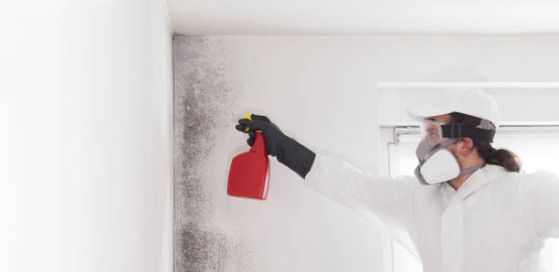 Best Same-Day Mold Removal  in Beverly, NJ