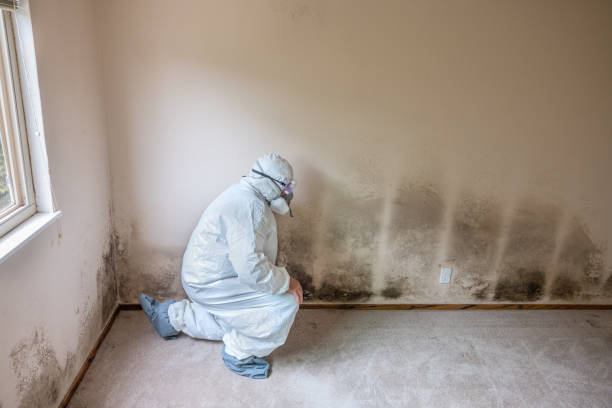 Best Residential Mold Removal  in Beverly, NJ